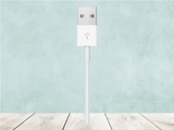 Official Apple Watch Magnetic Charging Cable (A1923) Metal/White 1m My Outlet Store