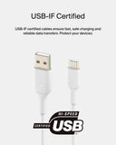 Belkin BoostCharge USB C charger cable, USB-C to USB-A cable, USB type C charging cable for iPhone 16 My Outlet Store Ltd.