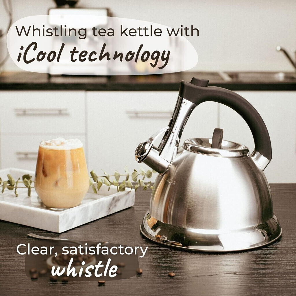 Whistling Kettle Stainless Steel 3L Coffee Stove Top Gas Electric